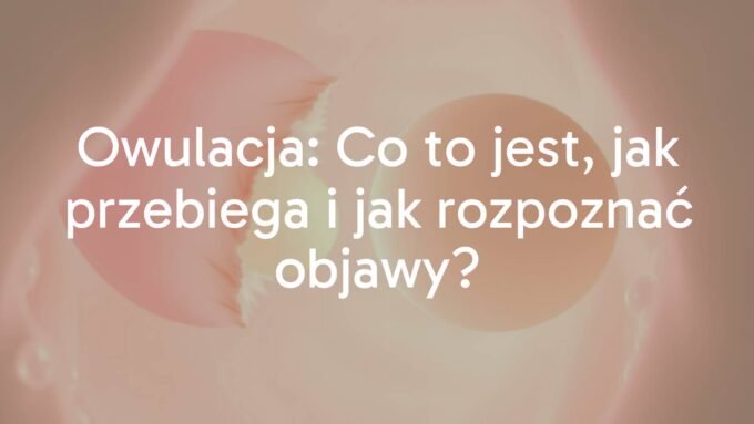 A close-up illustration of a pink and red ovary with a mature egg being released during ovulation, soft glowing light, scientific yet artistic style.